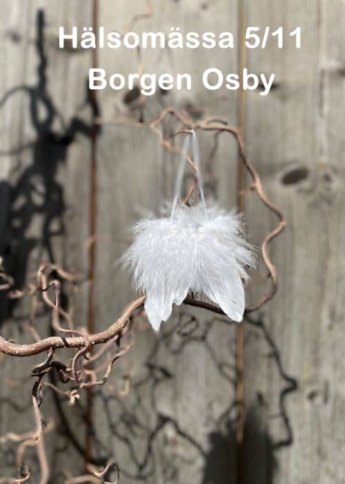 hälsomässa