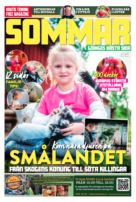 skärmavbild 2025 07 12 kl. 21.43.36