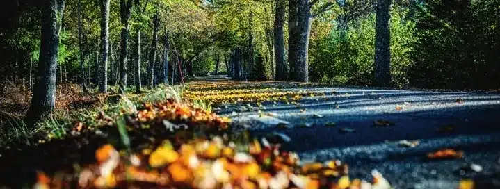 56d26ac4 7806 4516 bae9 4655832c360e